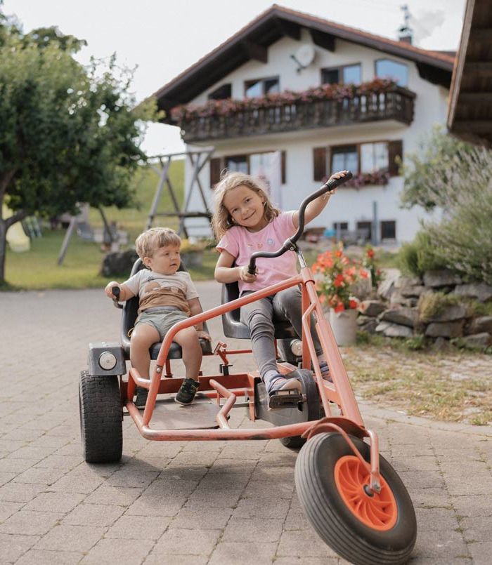Spaß zu zweit mit dem Kettcar - Ferienhof Mair