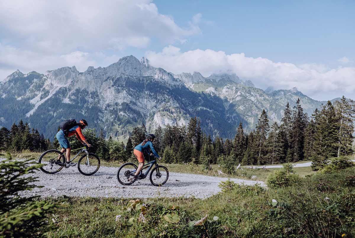 Kühe auf der Wiese in Blaichach im Allgäu