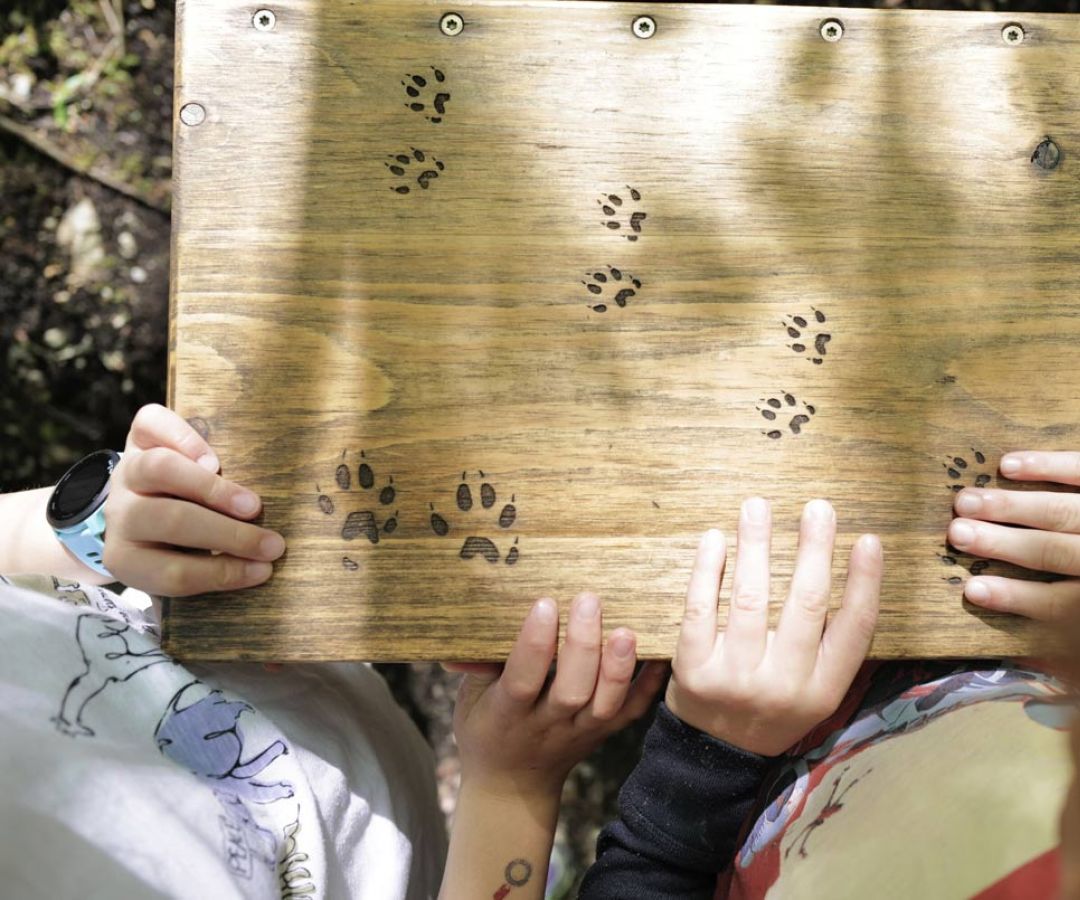 Walderlebniszentrum Füssen, über den Baumgipfeln